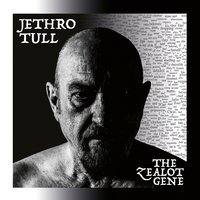 Jethro Tull. The Zealot Gene (3 LP + 2 CD + Blu-Ray)